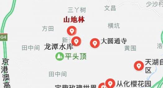 广州市从化区龙潭水库附近140亩山地林出售