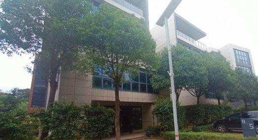 广州番禺 石基附近地区868464㎡ 砖混厂房出售层高6米 独院 可环评 可分租