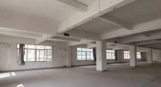 广州番禺 番禺区南村镇塘步村6200㎡ 厂房租售 有燃气 可环评 可分租