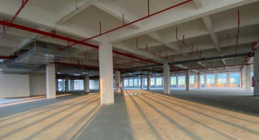 广州黄埔 6000㎡ 厂房租售层高7米 可环评