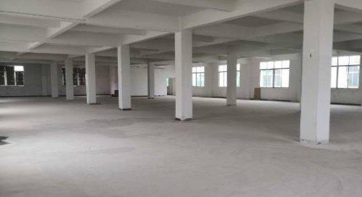 广州白云 高新产业园区内1300㎡ 厂房出售层高5米 跨度20米 柱距20米 独院 可环评 可分租