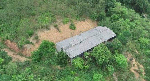 广州市从化区龙潭水库附近140亩山地林出售