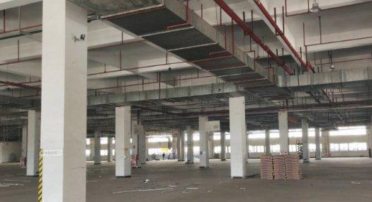 广州黄埔 10000㎡ 厂房租售层高4.5米 可环评