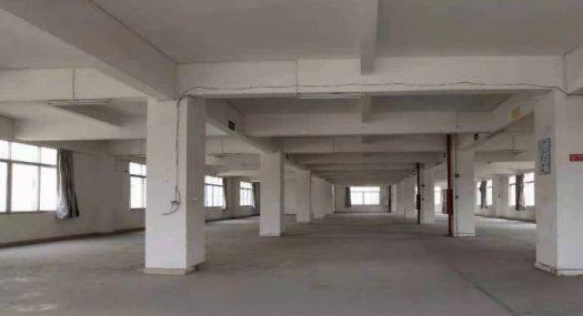 广州番禺 番禺区南村镇塘步村6200㎡ 厂房租售 有燃气 可环评 可分租