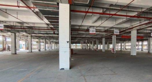 广州黄埔 4000㎡ 厂房租售 可环评