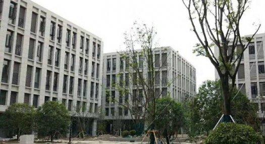 50年产权广州黄埔区唯一 150000㎡ 厂房出售跨度22米 柱距11.5米 配电84KVA 可环评 可分租