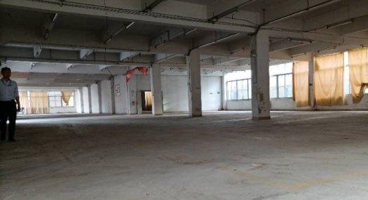 广州白云 白云区人和镇华盛南路129号10000㎡ 厂房租售层高4米 配电315KVA 独院 可分租