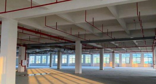 广州黄埔 6000㎡ 厂房租售层高7米 可环评