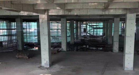 广州黄埔 姬堂 独栋 68000㎡ 厂房可租可售