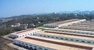 广州从化 46000㎡ 钢结构厂房出租层高9米 配电630KVA 独院 可环评