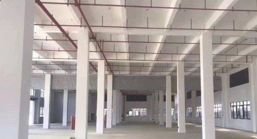 增城高新，专精特新，国有产权50年（全新厂房）