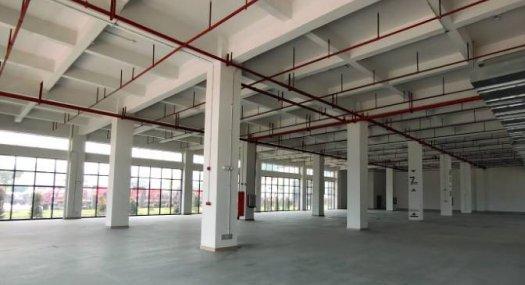 广州黄埔 6000㎡ 厂房租售层高7米 可环评