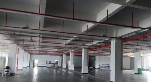 惠州博罗 博罗福田13500㎡ 原房东急租厂房租售 独院 可环评 可分租