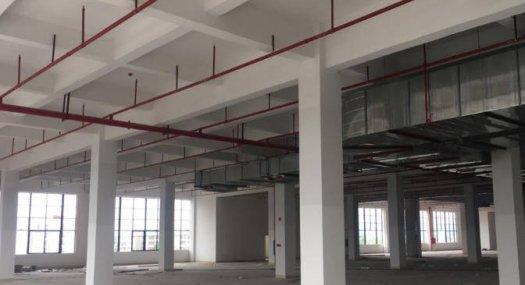 惠州博罗 平山20000㎡ 厂房租售 独院 可环评 可分租