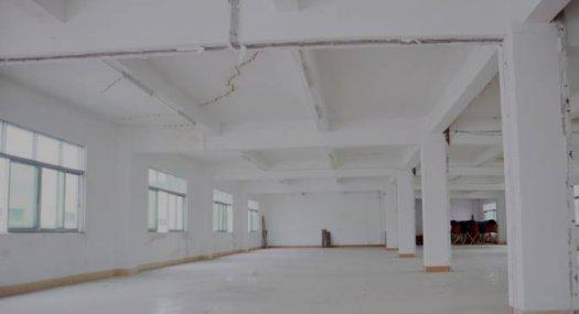 惠州博罗 博罗县柏塘镇广梅公路西216号50000㎡ 厂房租售 可分租