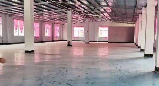 惠州惠阳 4000㎡ 厂房租售层高5米 配电200KVA 独院 可环评 可分租