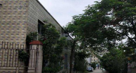 惠州仲恺独院砖墙到顶钢结构厂房总面积2100平证件齐低价出租