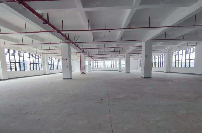 马安标准厂房一二楼出租3600平一楼层高8米证件齐全可分租