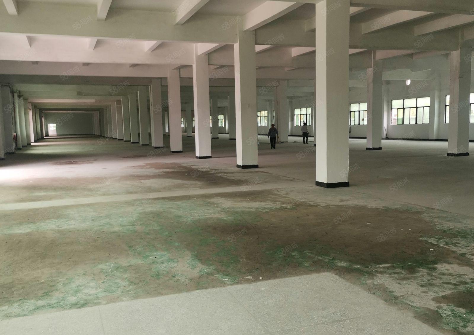 水口龙湖1楼1500平米，二楼1500平米红本标准厂房出租