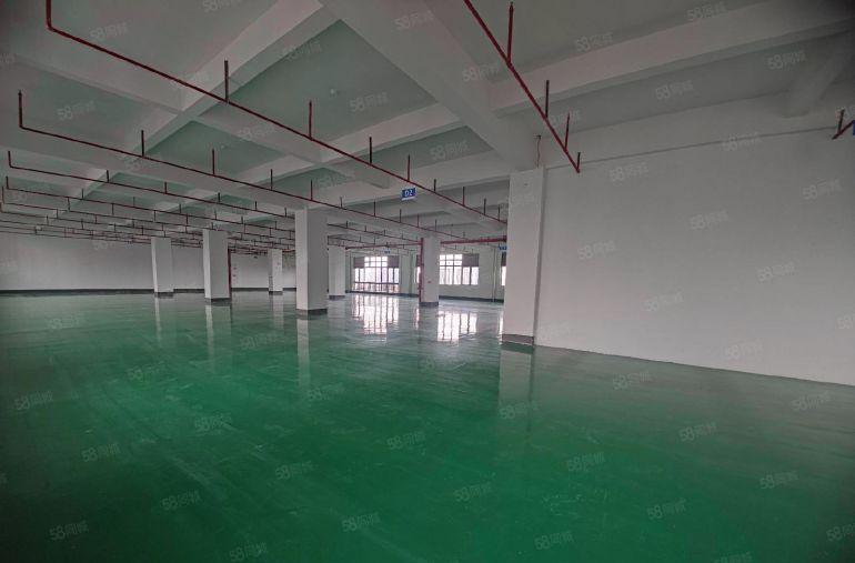 三栋镇原房东10块厂房精装修 300平起分仓库好进车