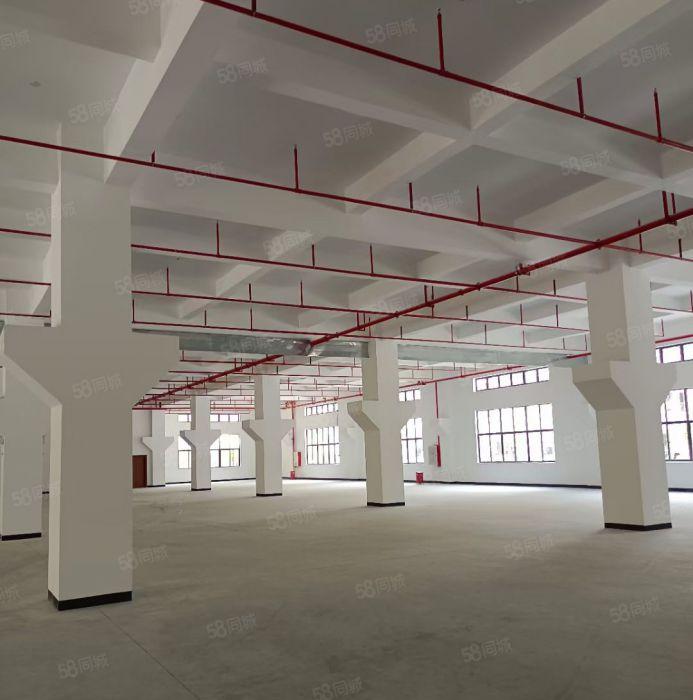 惠城区东江高新区全新厂房66000平方出租