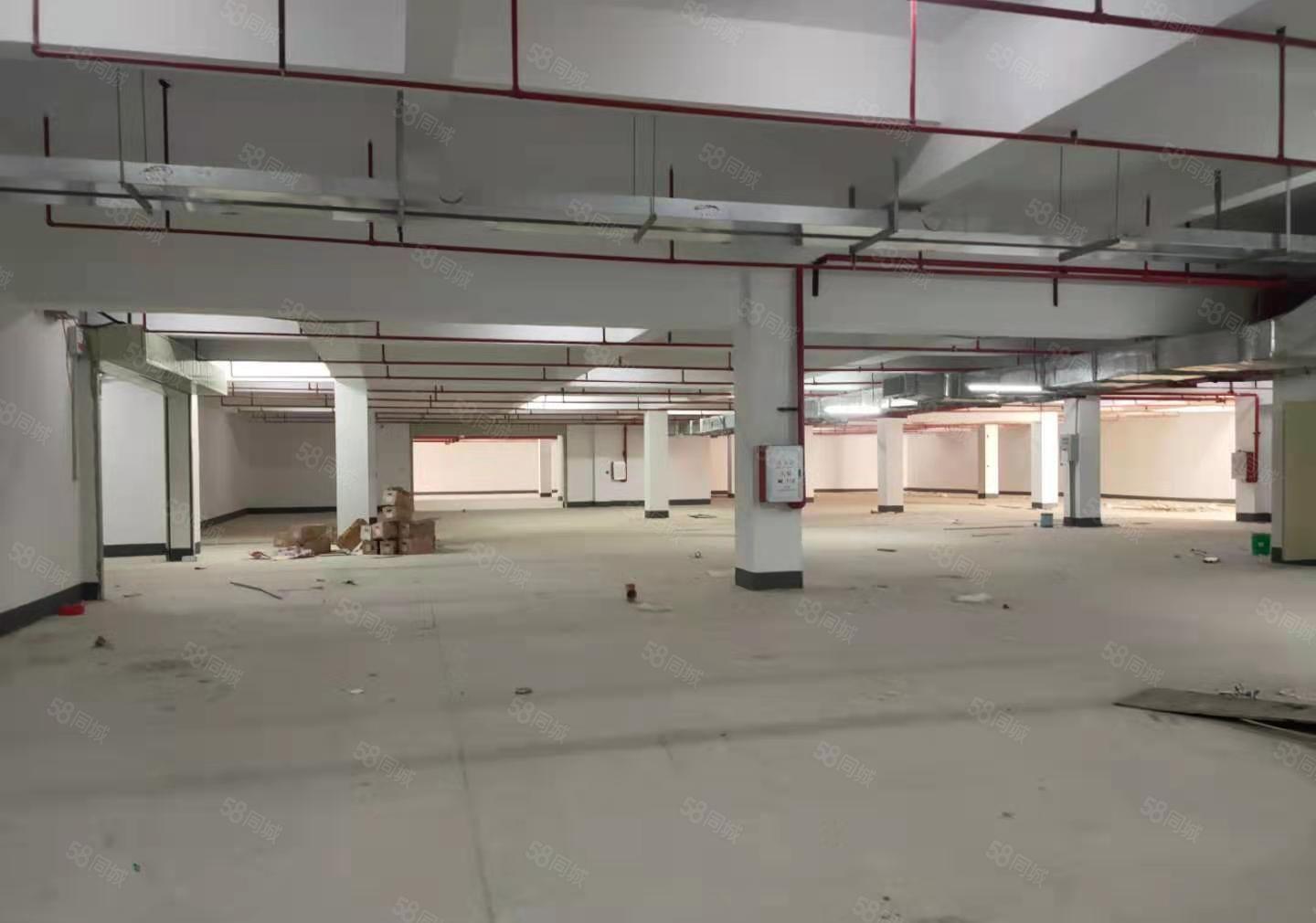 平潭园区标准红本厂房2200平，12元出租