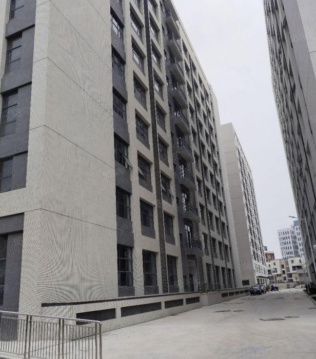 三栋数码园原房东红本工业园分租