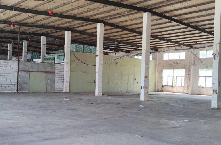 惠城小金口800平不限行业单一层钢结构低价厂房仓库出租分租