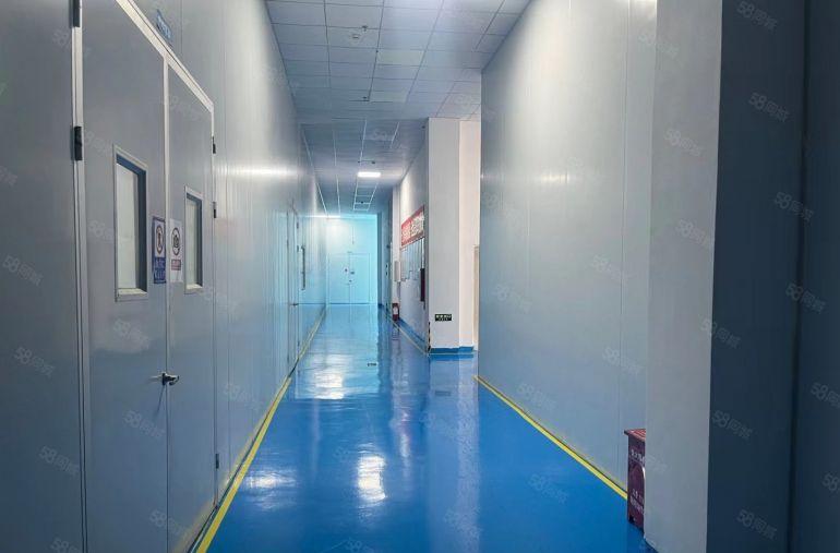 马安无公摊一四楼约2200平方红本厂房招租易招工