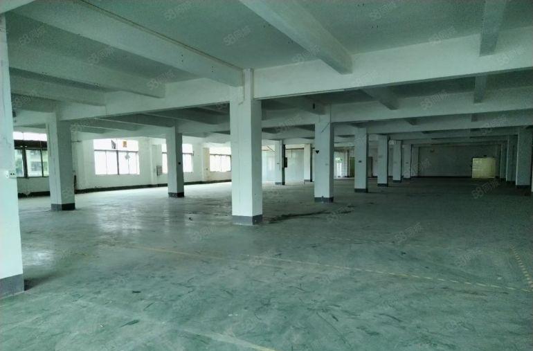 马安无公摊一四楼约2200平方红本厂房招租易招工