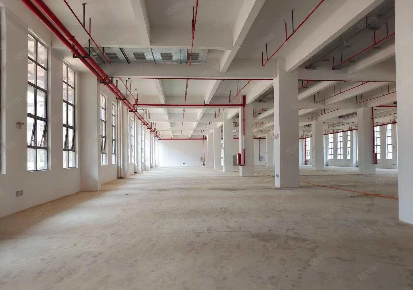 水口东江湾千亿产业园3万平米，面积1000平起租