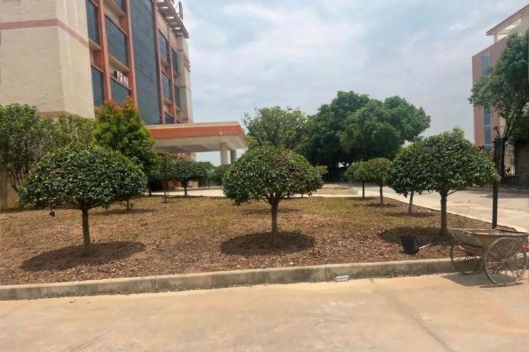 11块！层高12米，带4个行吊对半分租原房东红本厂房仓库出租