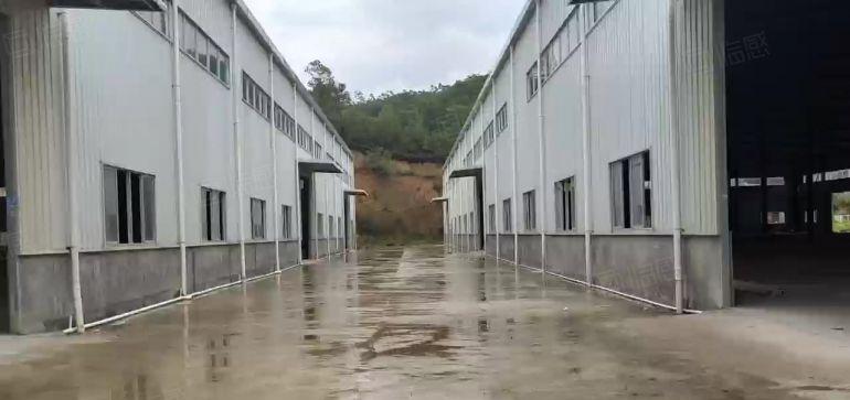 15块！水口9米钢构厂房仓库低价出租10000平500平起分