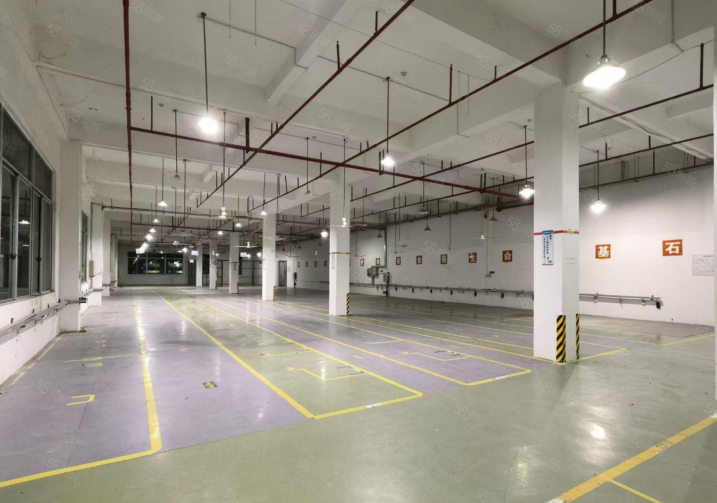 三栋数码园花园式原房东工业园一楼标准厂房1600平带装修出租