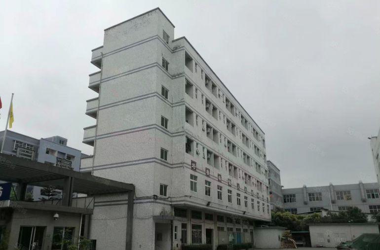 惠惠城区水口原房东标准厂房4500平方出租