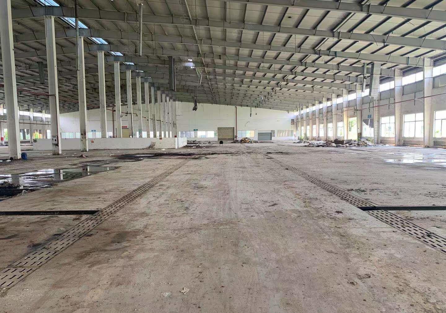 惠城区马安镇滴水11米国有证钢构厂房招租