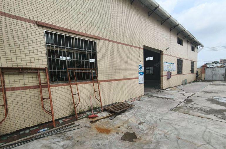 小金口镇原房东独院单一层钢构厂房出租1300平方