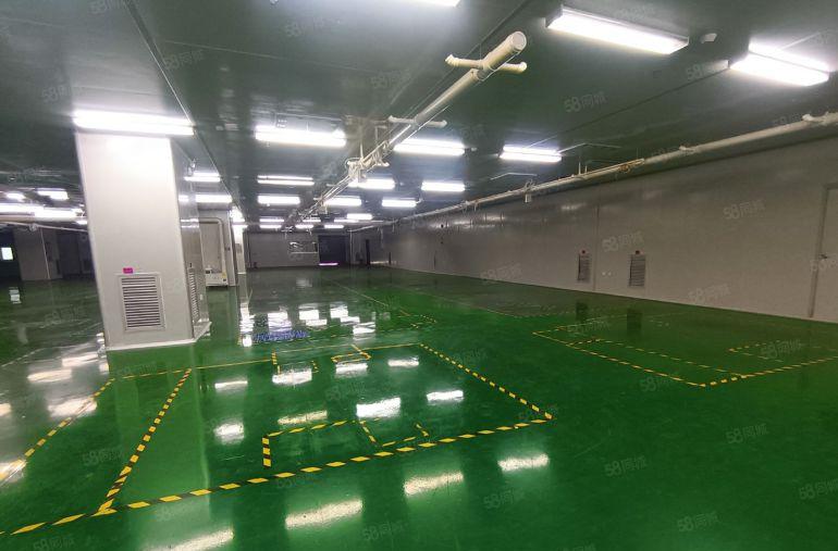 9元原房东独院无尘车间实际面积出租1000平方起分
