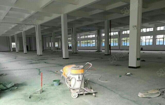 新盘招租，马安新乐厂房正式启用，形象好，位置佳，空地超大