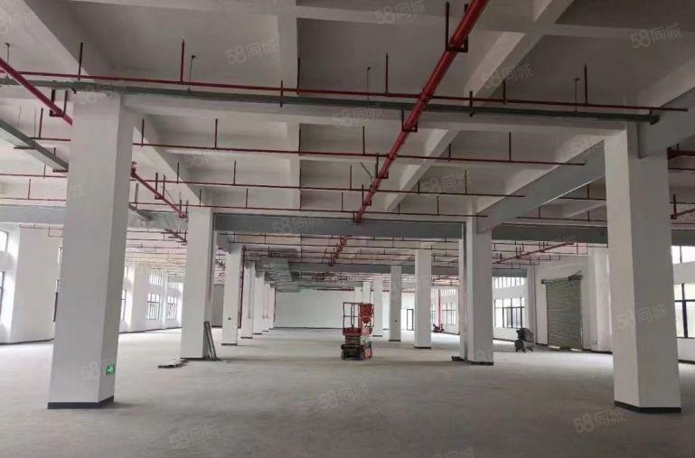 马安原房东标准厂房一二层8800平方出租，适合五金注塑