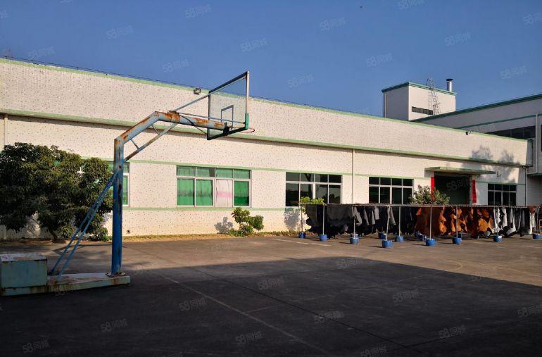 惠城区马安附近一楼1200平方标准厂房低价出租