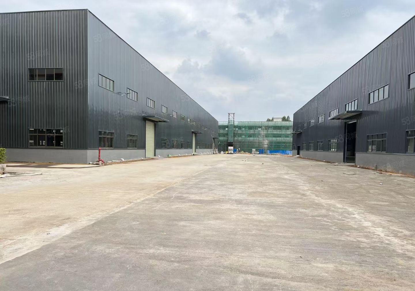 金龙大道路边8000平米全新钢构厂房出租