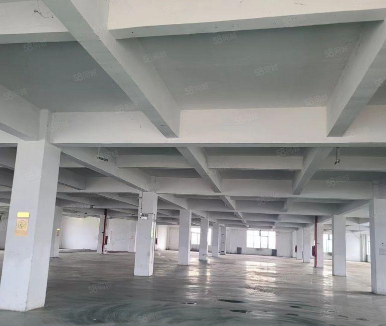 三栋一二层单层2300平方红本厂房招租首层高6米