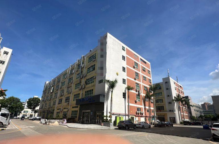 三栋原房东红本厂房实际面积，出租花园式独院厂房8元起租