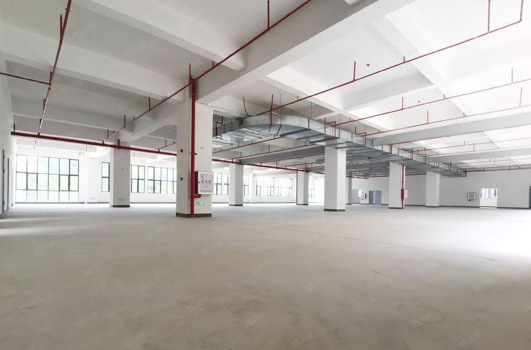 标准厂房，有宿舍配套高速路口附近，可围独院超大空地，水电全通