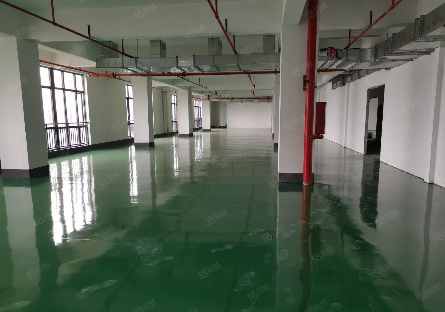 马安全新科技园厂房四楼760平米出租 带全新装修 租金11