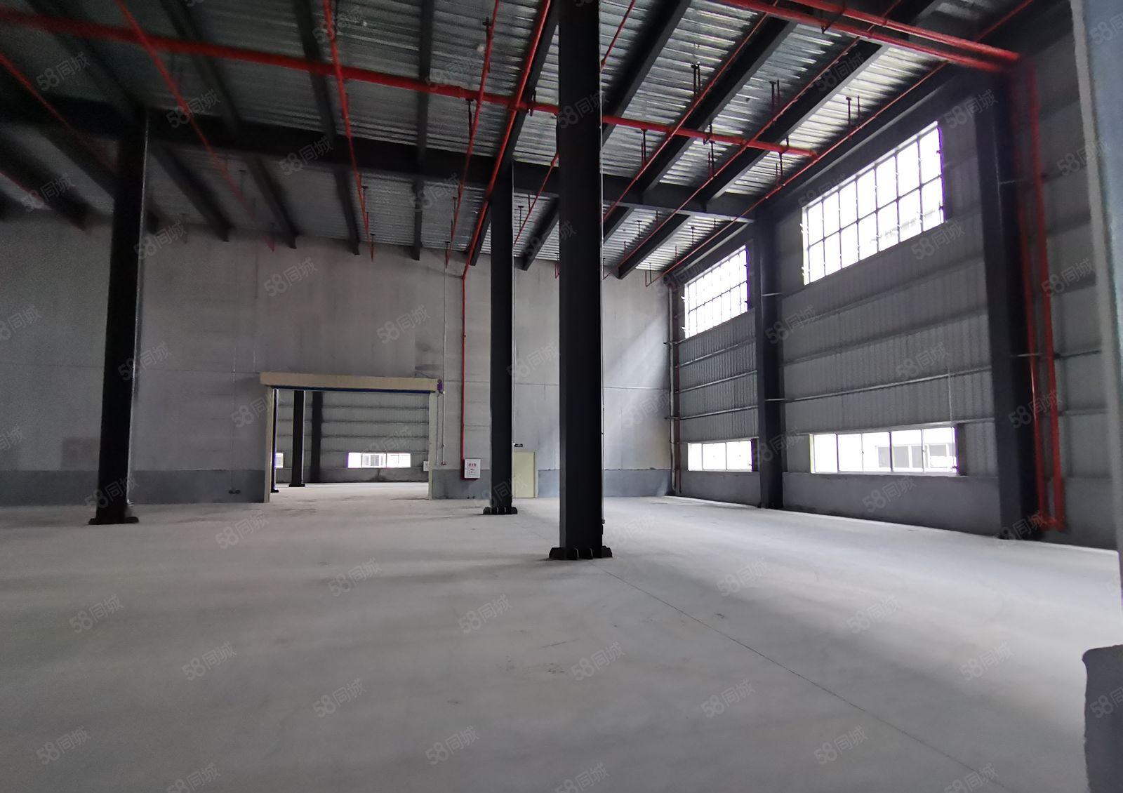 惠城河南岸太东工业园1万平高台仓层高11米仓库厂房出租可分租