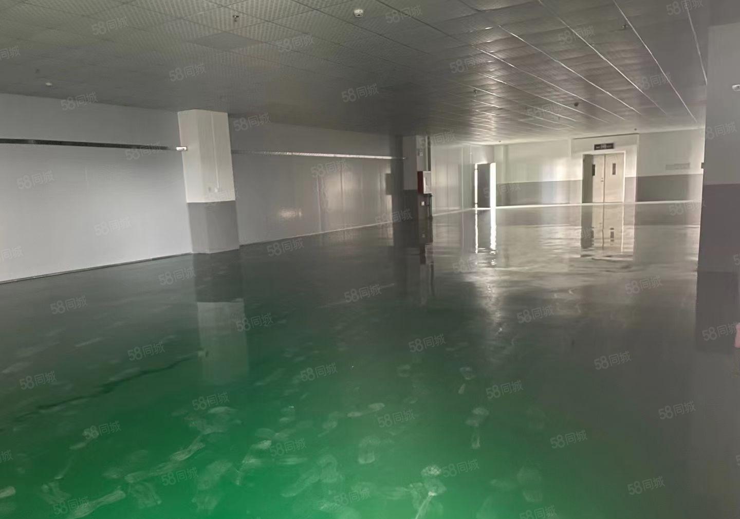 马安豪鹏科技旁工业园楼上一层800平米 全新装修 12元出租