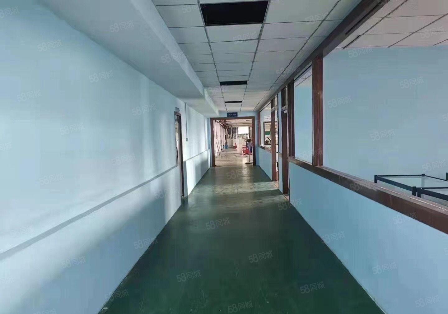 原房东独院厂房，超大空地