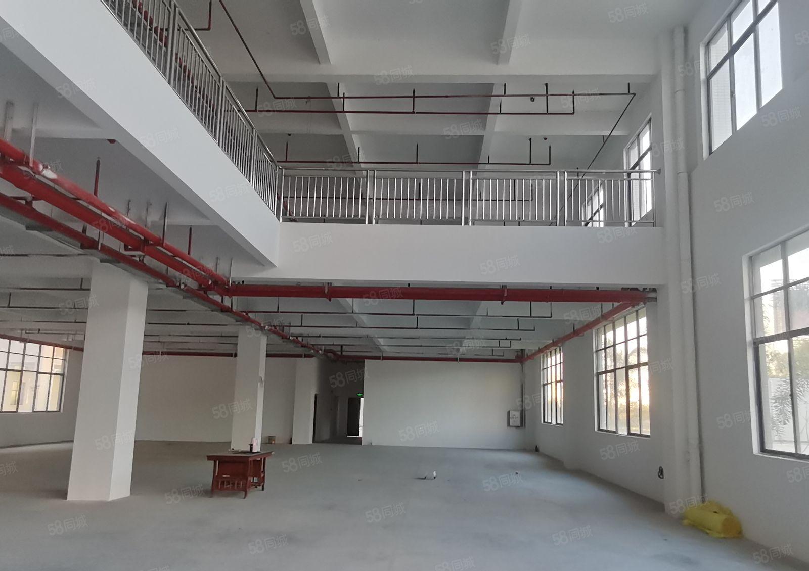 水口全新重工业10万平高新产业园厂房出租 1000平起租